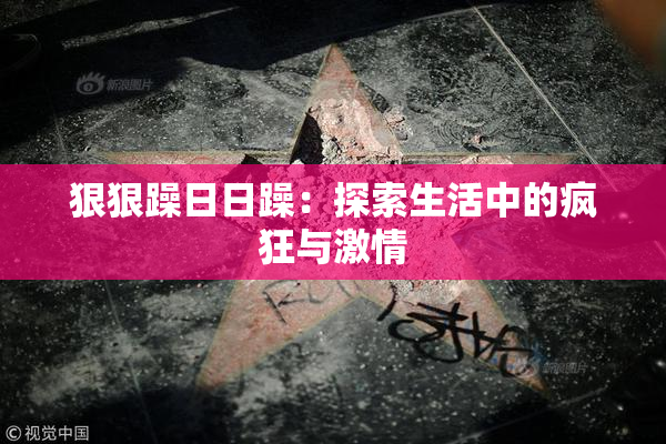 狠狠躁日日躁：探索生活中的疯狂与激情