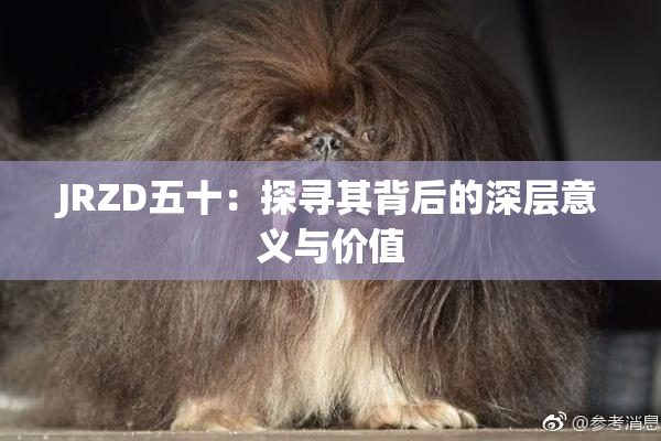 JRZD五十：探寻其背后的深层意义与价值
