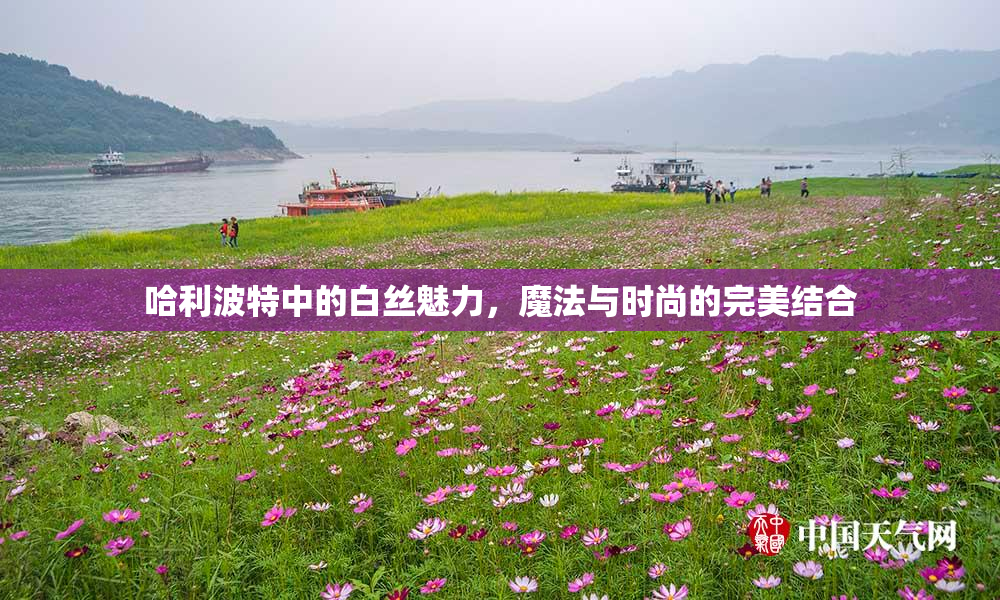 哈利波特中的白丝魅力，魔法与时尚的完美结合