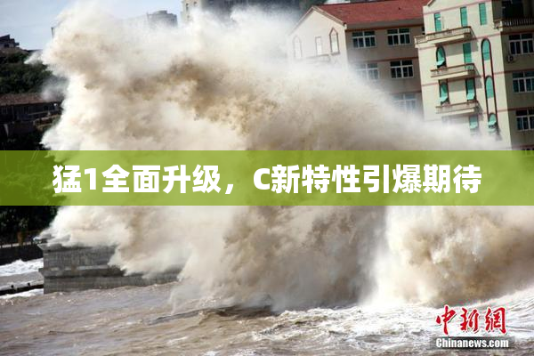 猛1全面升级，C新特性引爆期待