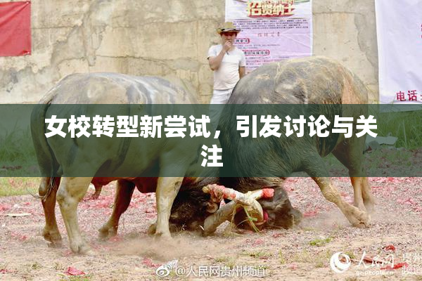 女校转型新尝试，引发讨论与关注