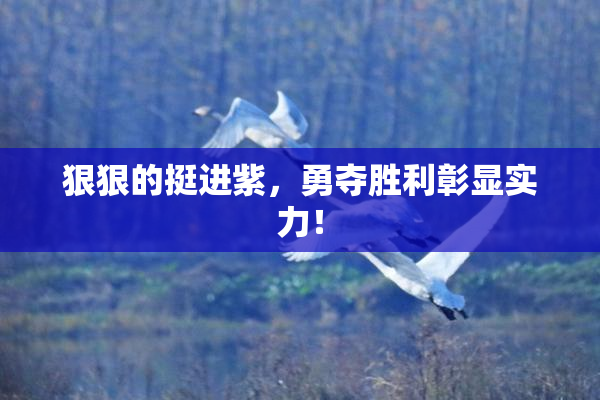 狠狠的挺进紫，勇夺胜利彰显实力！