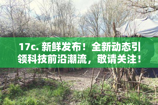 17c. 新鲜发布！全新动态引领科技前沿潮流，敬请关注！