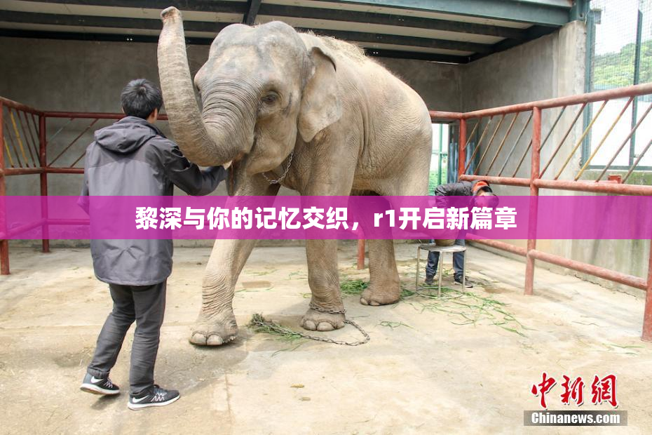 黎深与你的记忆交织，r1开启新篇章