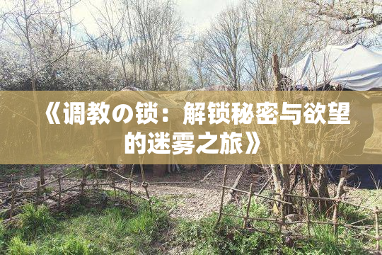 《调教の锁：解锁秘密与欲望的迷雾之旅》