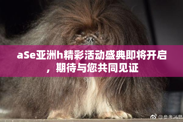 aSe亚洲h精彩活动盛典即将开启，期待与您共同见证