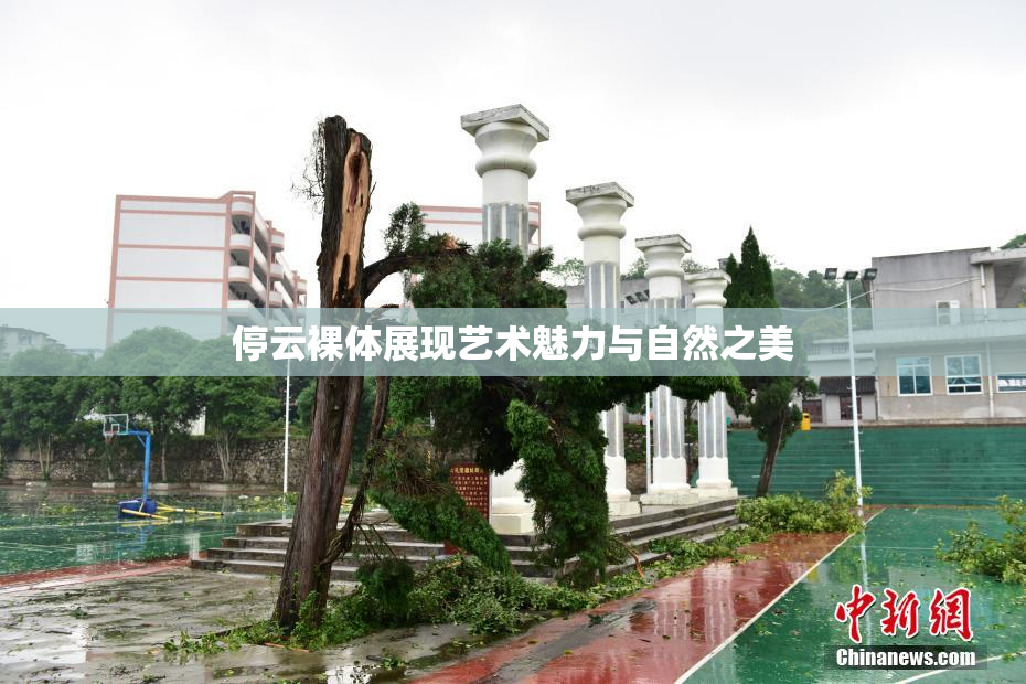 停云裸体展现艺术魅力与自然之美