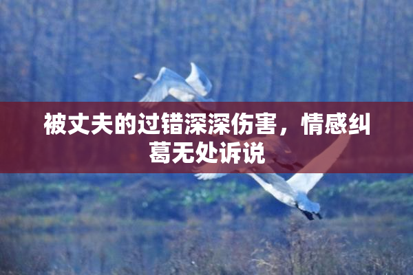 被丈夫的过错深深伤害，情感纠葛无处诉说
