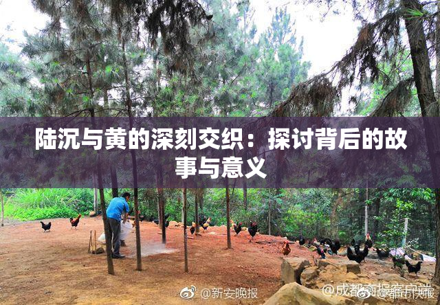 陆沉与黄的深刻交织：探讨背后的故事与意义