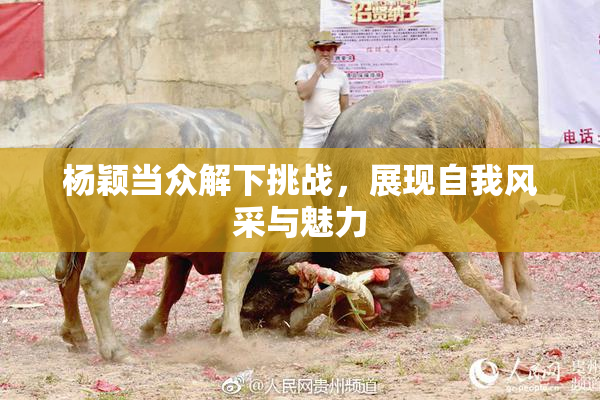 杨颖当众解下挑战，展现自我风采与魅力
