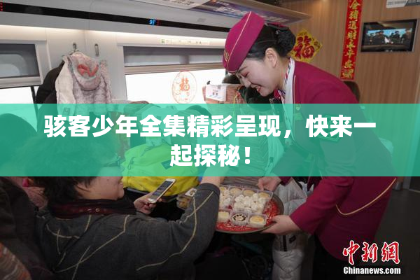 骇客少年全集精彩呈现，快来一起探秘！