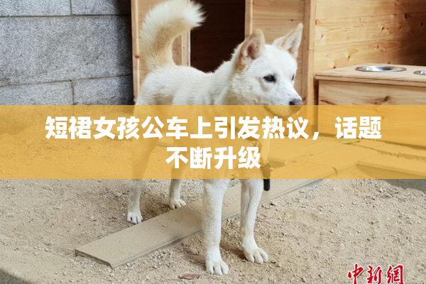 短裙女孩公车上引发热议，话题不断升级