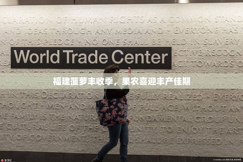 福建菠萝丰收季，果农喜迎丰产佳期