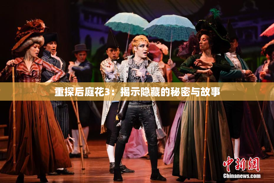 重探后庭花3：揭示隐藏的秘密与故事