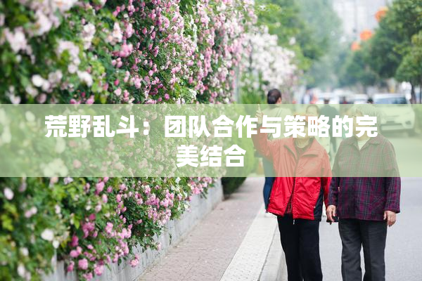 荒野乱斗：团队合作与策略的完美结合