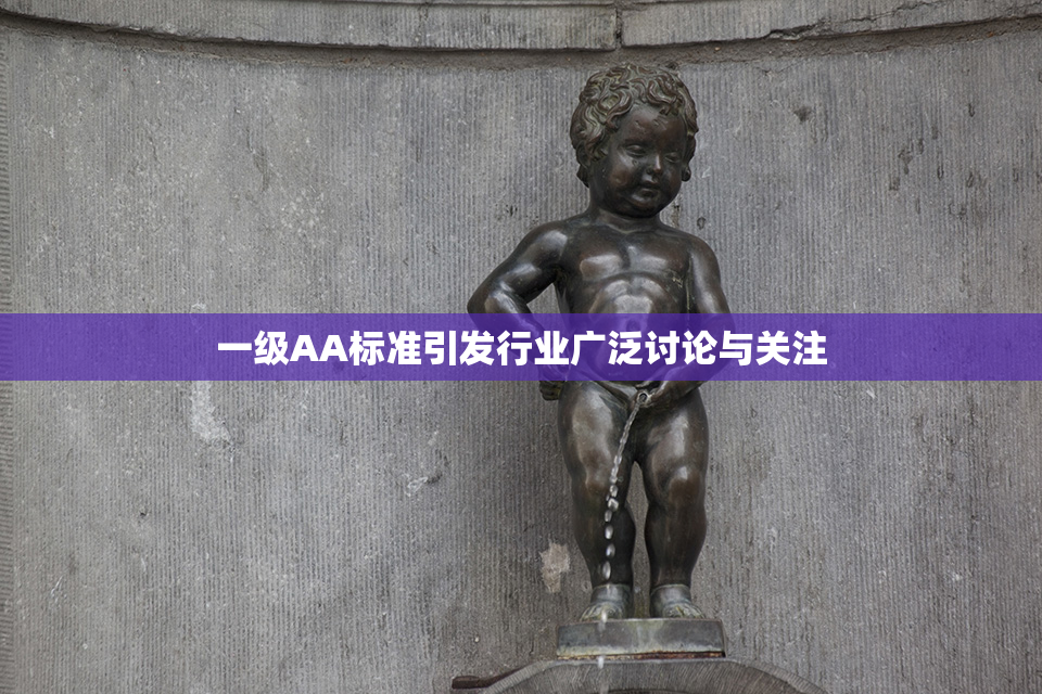 一级AA标准引发行业广泛讨论与关注