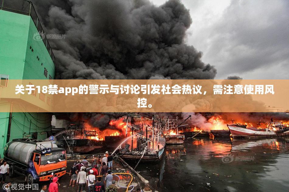 关于18禁app的警示与讨论引发社会热议，需注意使用风控。