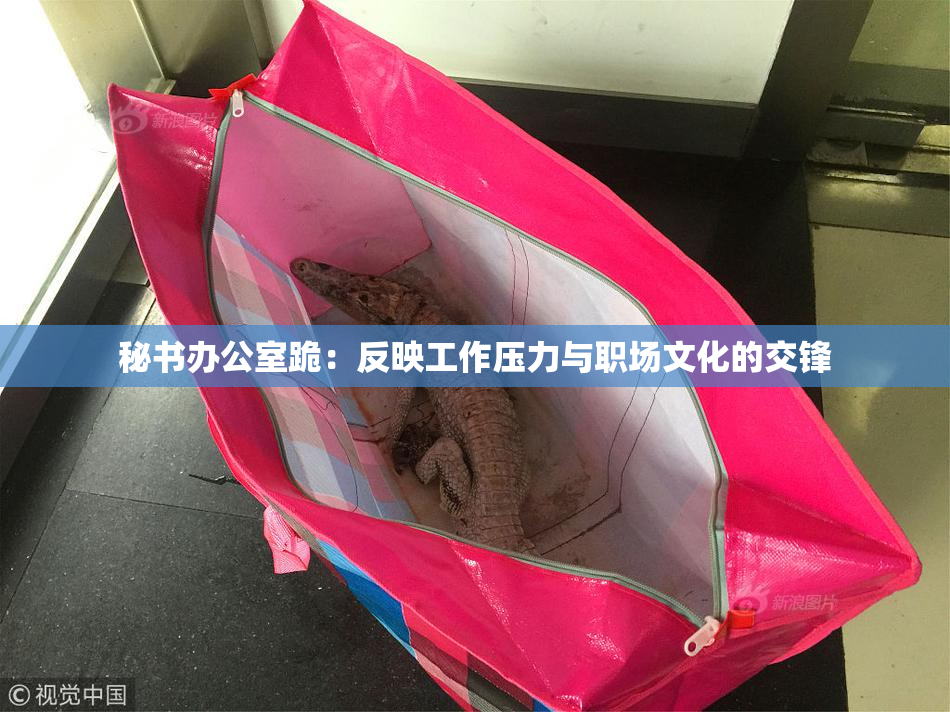 秘书办公室跪：反映工作压力与职场文化的交锋
