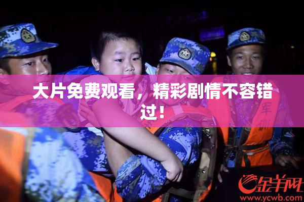 大片免费观看，精彩剧情不容错过！