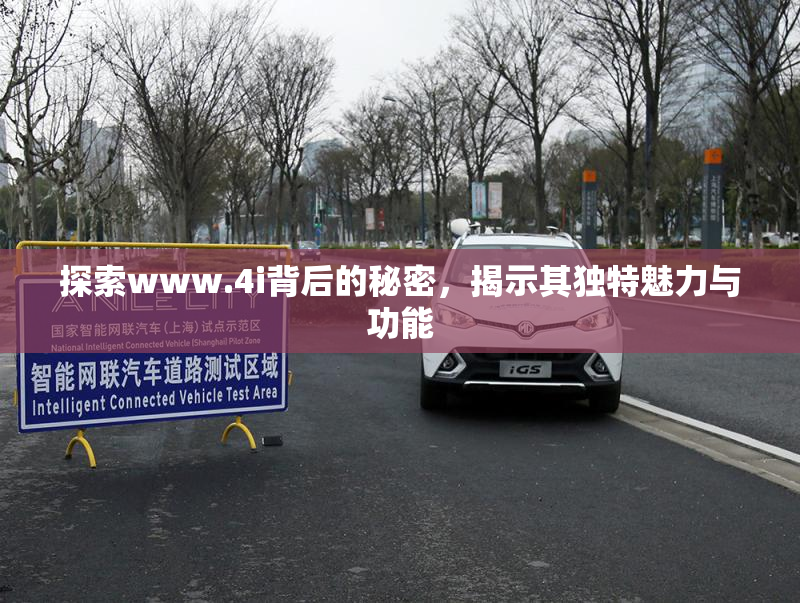 探索www.4i背后的秘密，揭示其独特魅力与功能