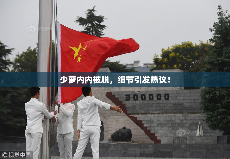 少萝内内被脱，细节引发热议！
