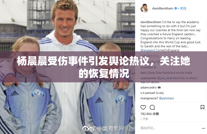 杨晨晨受伤事件引发舆论热议，关注她的恢复情况