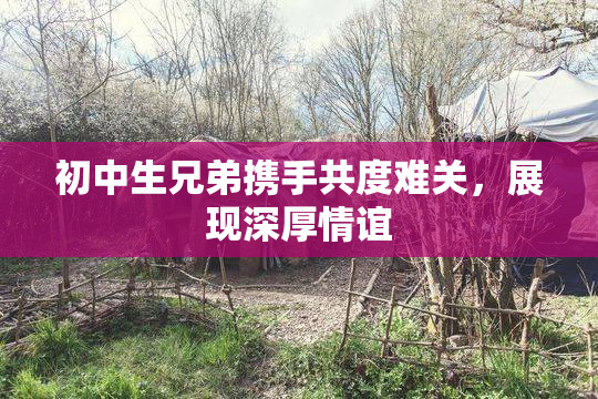 初中生兄弟携手共度难关，展现深厚情谊