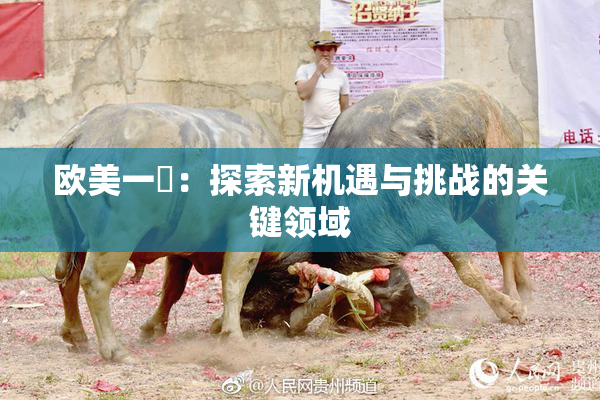 欧美一級：探索新机遇与挑战的关键领域