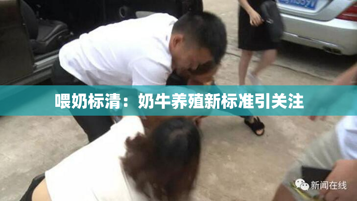 喂奶标清：奶牛养殖新标准引关注