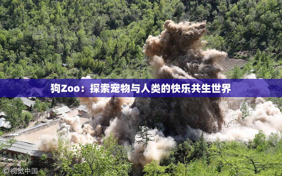 狗Zoo：探索宠物与人类的快乐共生世界