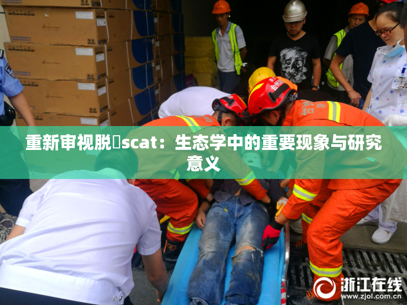 重新审视脱糞scat：生态学中的重要现象与研究意义