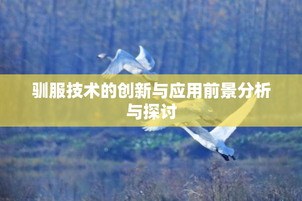 驯服技术的创新与应用前景分析与探讨