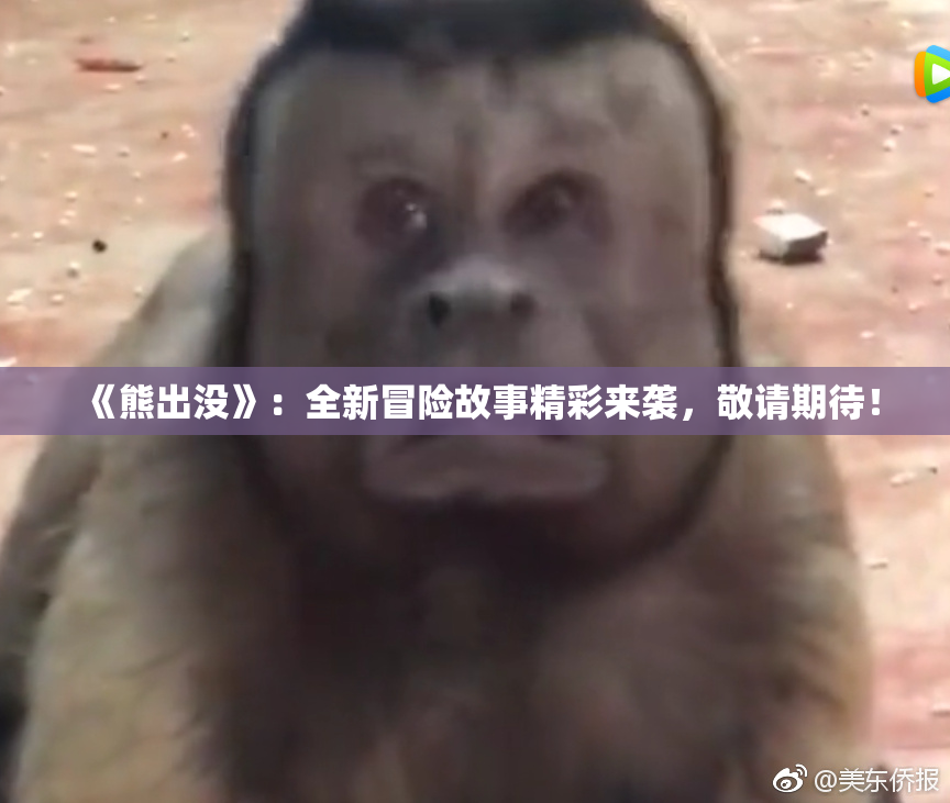 《熊出没》：全新冒险故事精彩来袭，敬请期待！