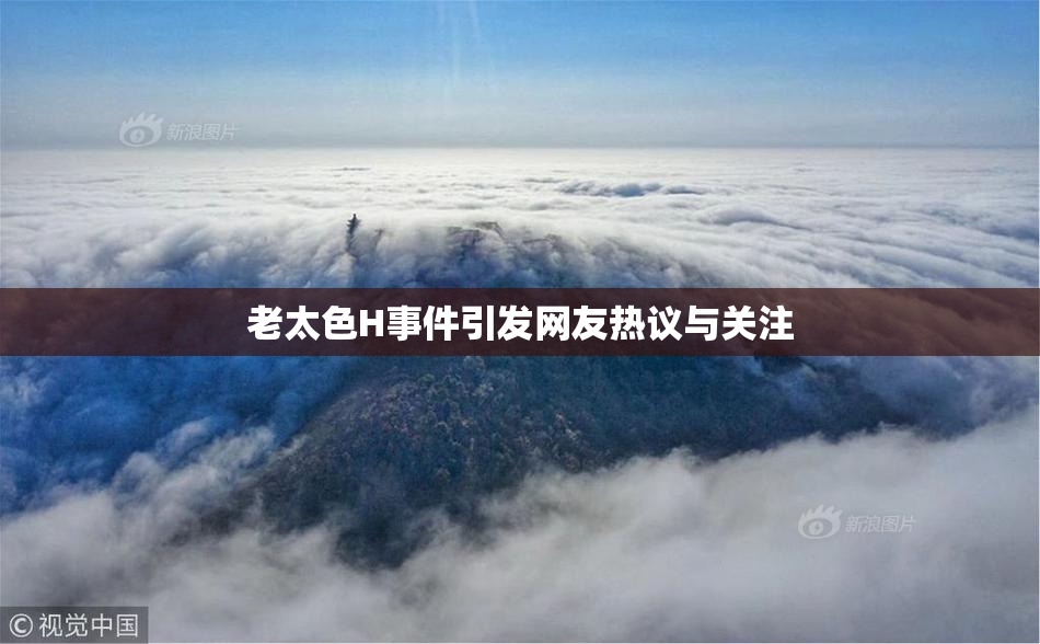老太色H事件引发网友热议与关注