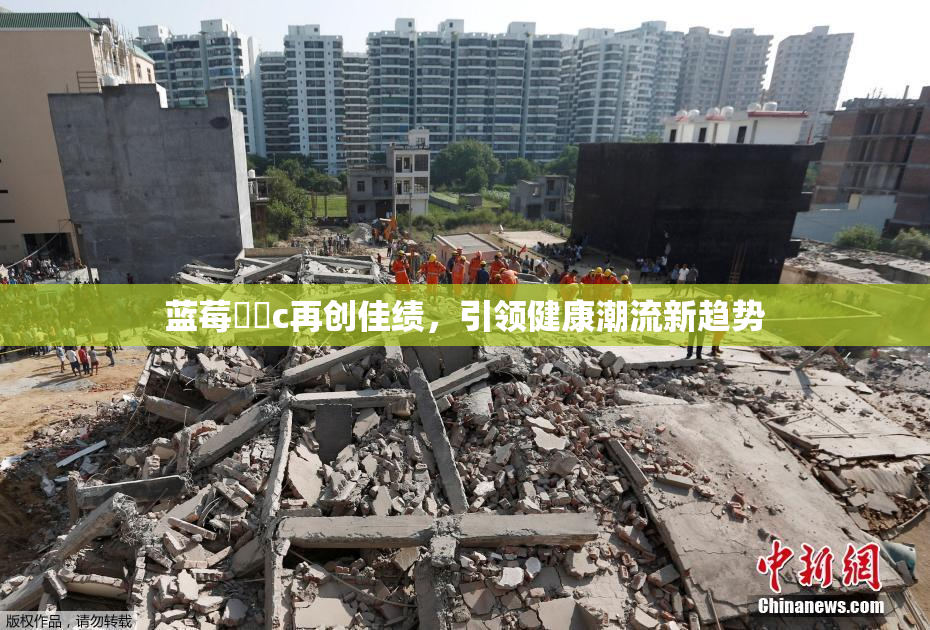 蓝莓❌‌c再创佳绩，引领健康潮流新趋势
