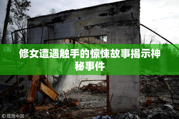 修女遭遇触手的惊悚故事揭示神秘事件