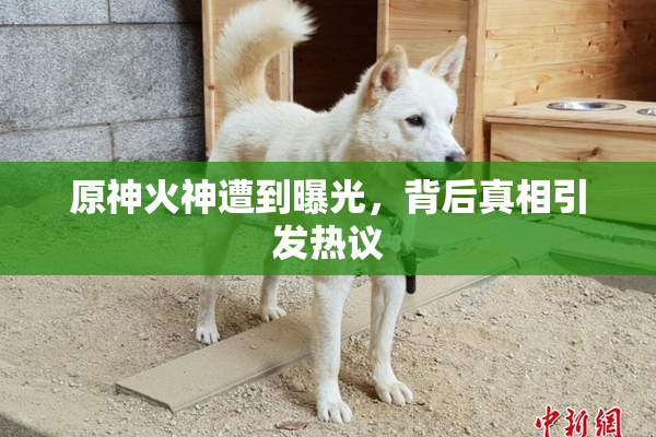 原神火神遭到曝光，背后真相引发热议