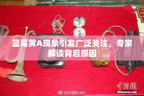 蓝莓黄A现象引发广泛关注，专家解读背后原因
