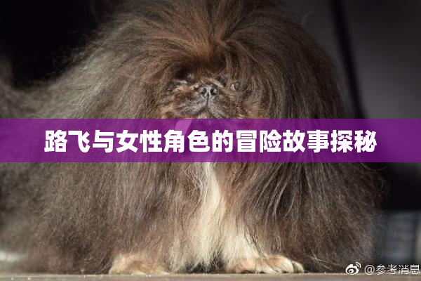 路飞与女性角色的冒险故事探秘