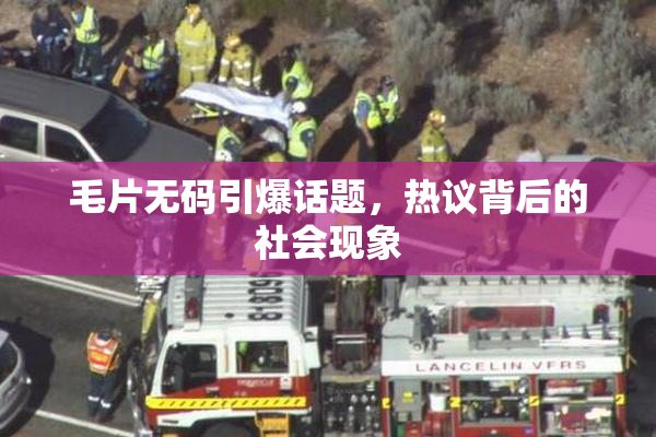 毛片无码引爆话题，热议背后的社会现象
