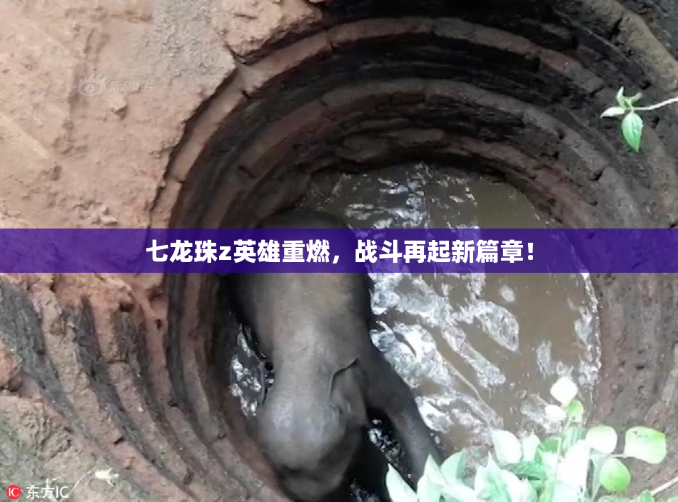 七龙珠z英雄重燃，战斗再起新篇章！