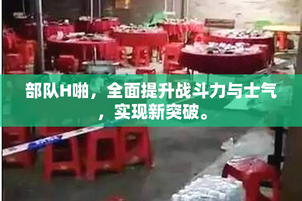 部队H啪，全面提升战斗力与士气，实现新突破。