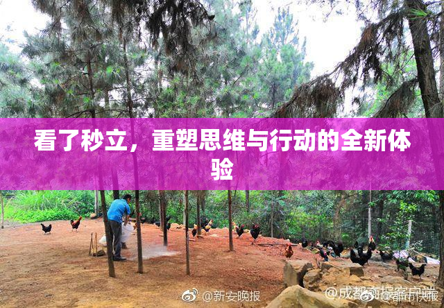看了秒立，重塑思维与行动的全新体验