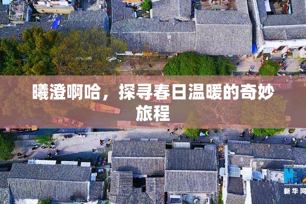 曦澄啊哈，探寻春日温暖的奇妙旅程