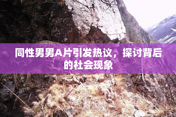 同性男男A片引发热议，探讨背后的社会现象