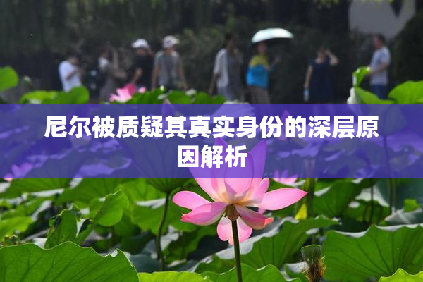 尼尔被质疑其真实身份的深层原因解析