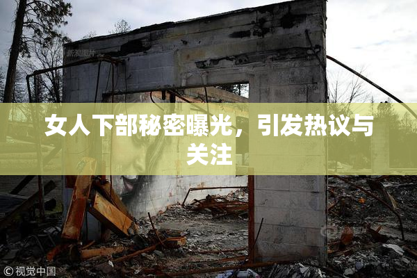 女人下部秘密曝光，引发热议与关注