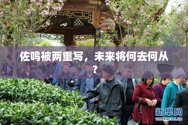 佐鸣被两重写，未来将何去何从？