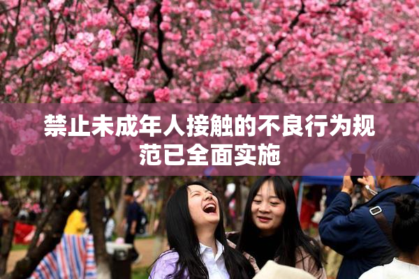 禁止未成年人接触的不良行为规范已全面实施