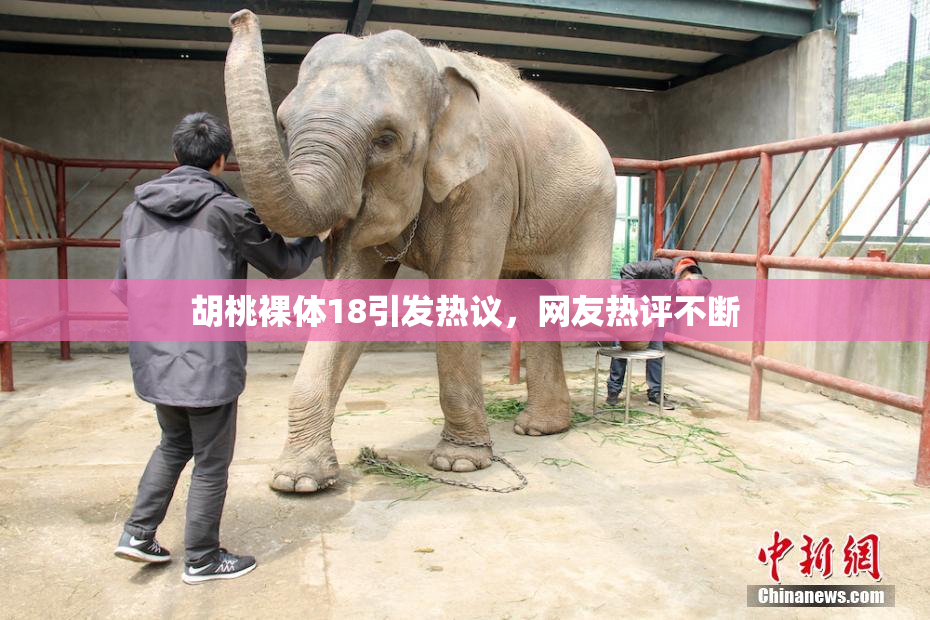 胡桃裸体18引发热议，网友热评不断